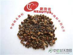 草豆蔻 传统药材的现代应用与市场洞察