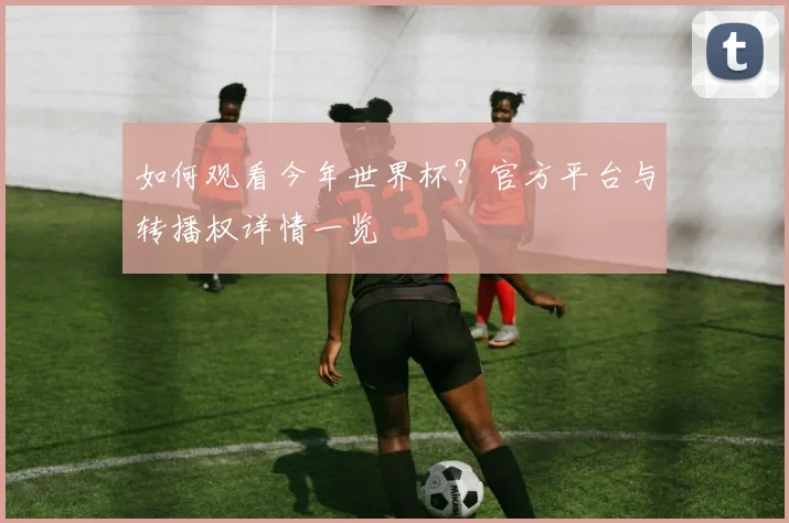 如何观看今年世界杯?官方平台与转播权详情一览