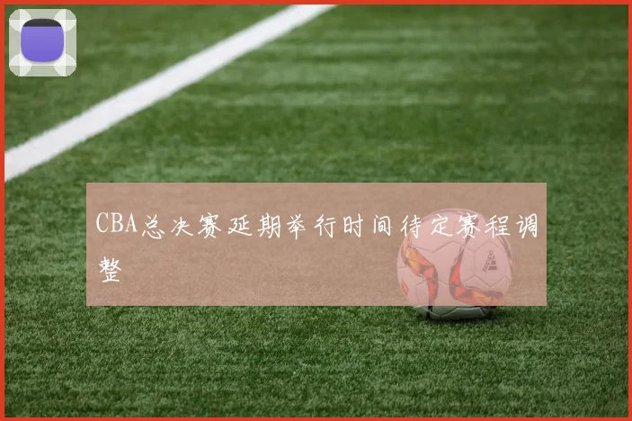 CBA总决赛延期举行时间待定赛程调整
