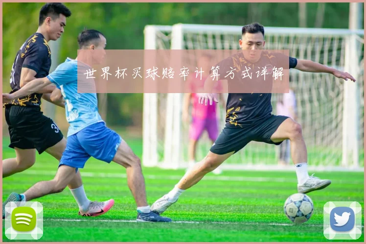 世界杯买球赔率计算方式详解
