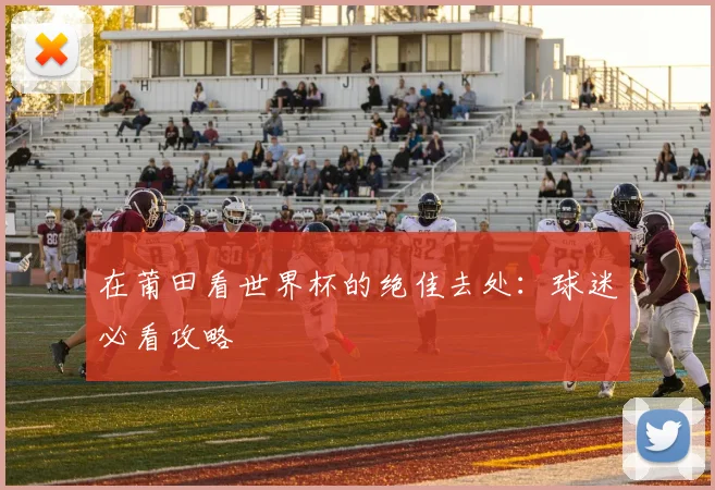 在莆田看世界杯的绝佳去处:球迷必看攻略