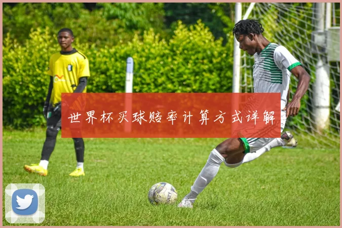 世界杯买球赔率计算方式详解