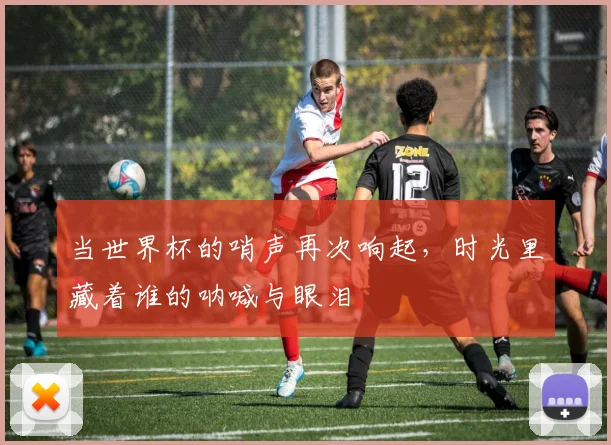 当世界杯的哨声再次响起，时光里藏着谁的呐喊与眼泪