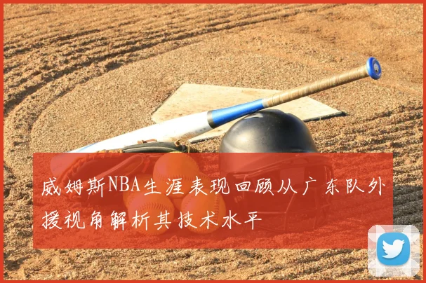 威姆斯NBA生涯表现回顾从广东队外援视角解析其技术水平