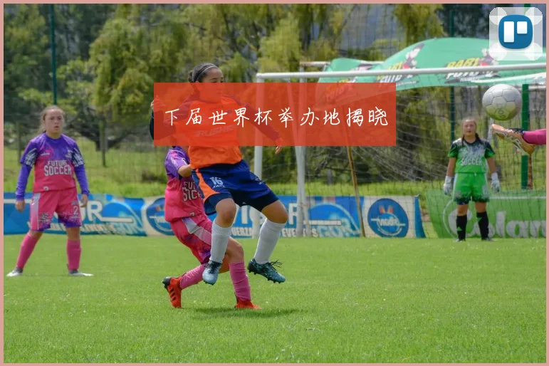 下届世界杯举办地揭晓