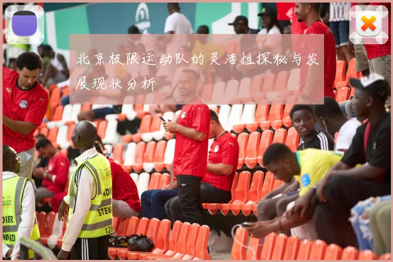 北京极限运动队的灵活性探秘与发展现状分析
