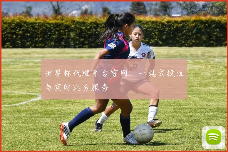 世界杯代理平台官网：一站式投注与实时比分服务