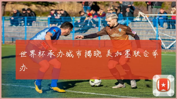 世界杯承办城市揭晓 美加墨联合举办