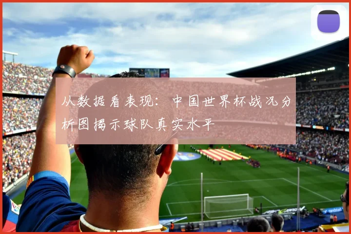 从数据看表现：中国世界杯战况分析图揭示球队真实水平